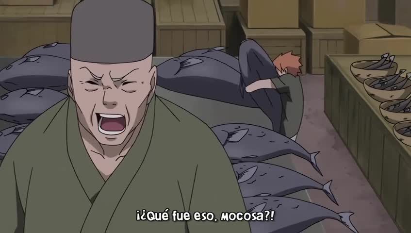 Ver Naruto Shippuden Los dos salvadores - Capítulo 172