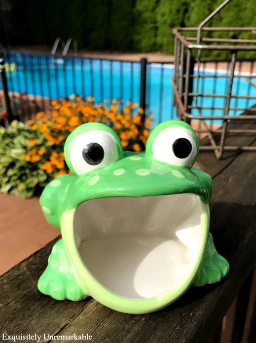 Frog Scouring Pad Holder