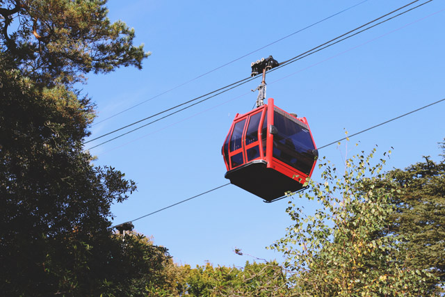 Alton Towers Skyride Gondola Cable Car