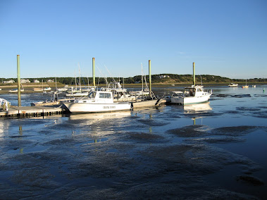 Wellfleet Marina, Low Tide, Sept 2012