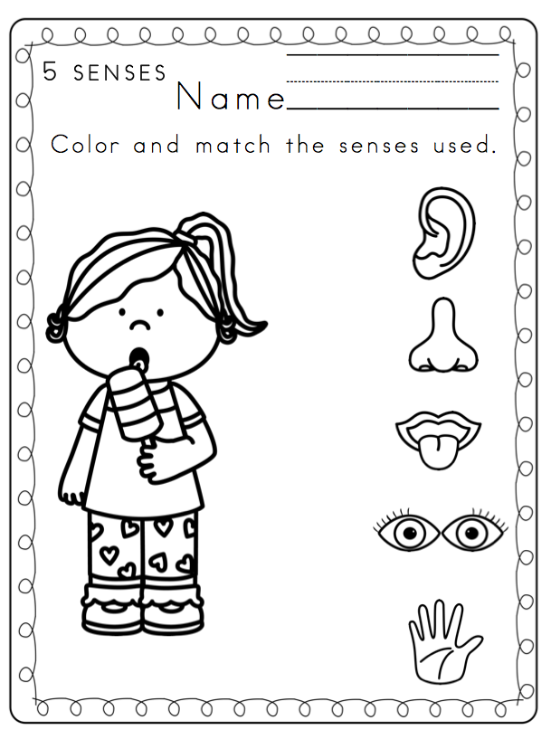 five sense worksheet: NEW 162 FREE FIVE SENSES WORKSHEETS FOR PRESCHOOLERS