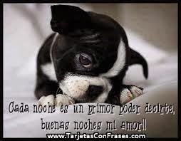 IMÁGENES DE BUENAS NOCHES AMOR IMÁGENES DE BUENAS NOCHES AMOR