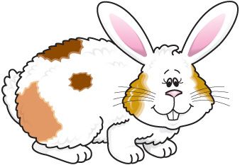 Menta Mas Chocolate Recursos Y Actividades Para Educacion Infantil