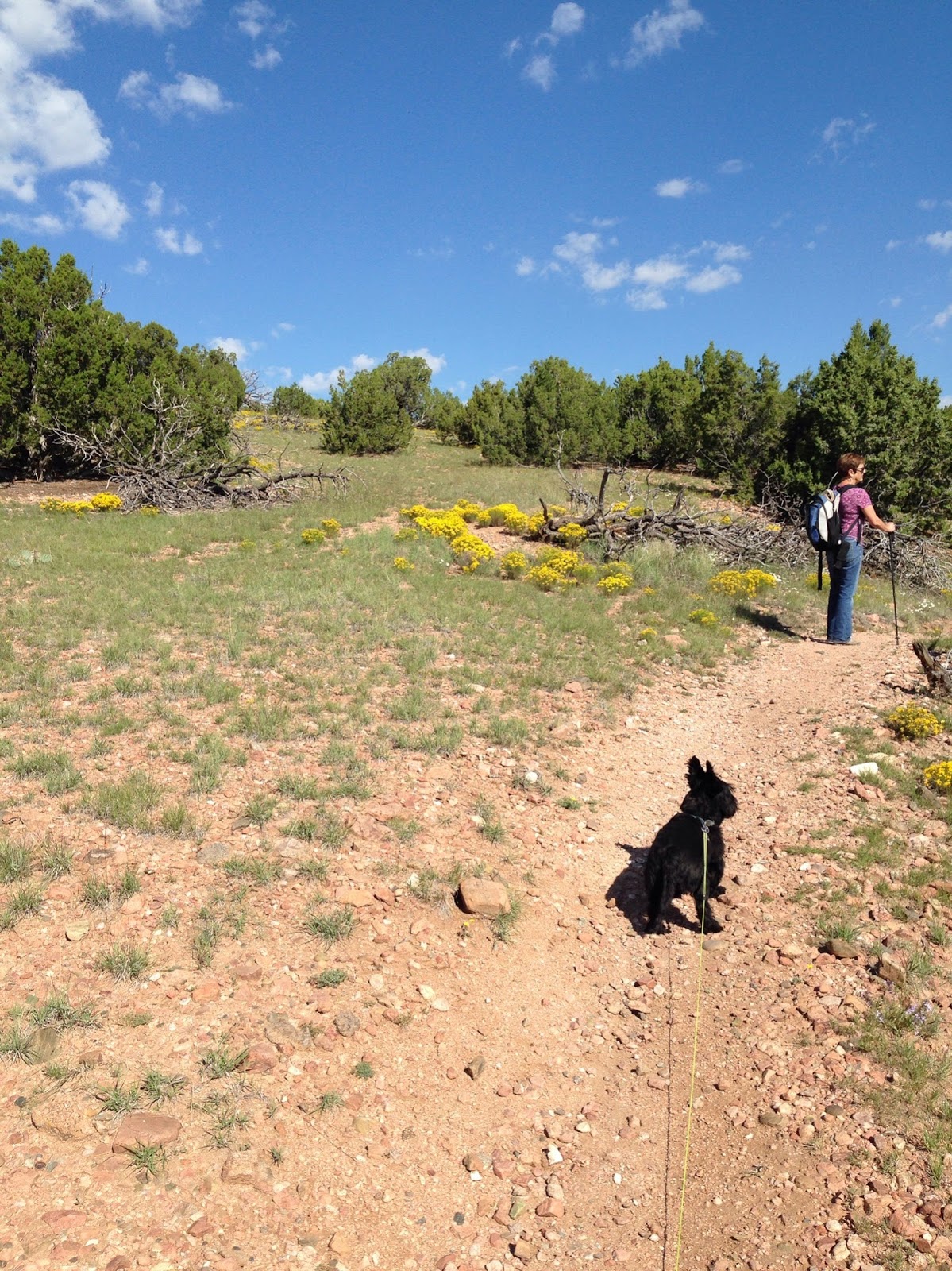 Southern New Mexico Explorer Galisteo Basin Preserve