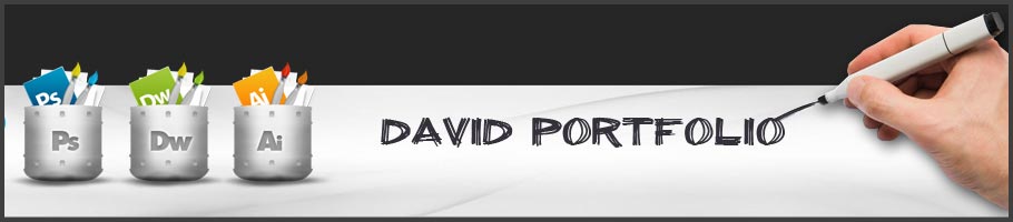 David Portfolio