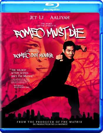 Romeo Must Die 2000 Hindi Dual Audio 720p BluRay 900Mb