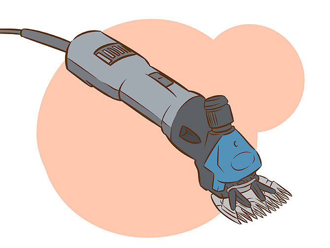 Electric Sheep Shears How to Shear a Sheep (with pictures)