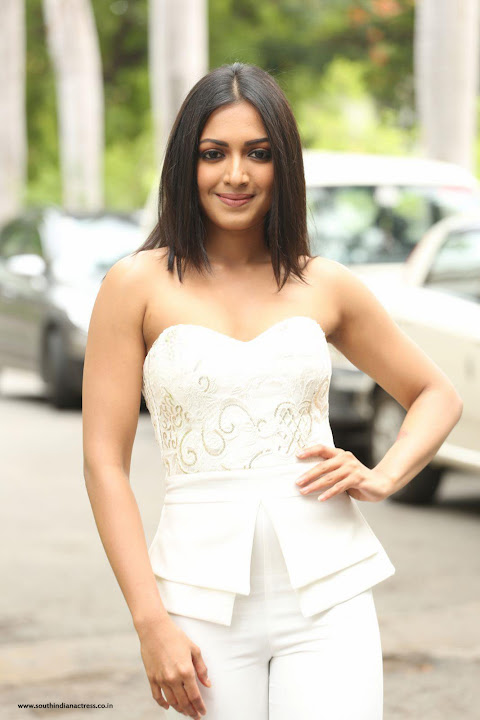 Catherine Tresa at Gautham Nanda Teaser Launch