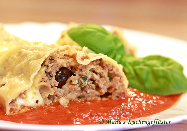 NUDEL-HACKFLEISCHROLLE - holabys