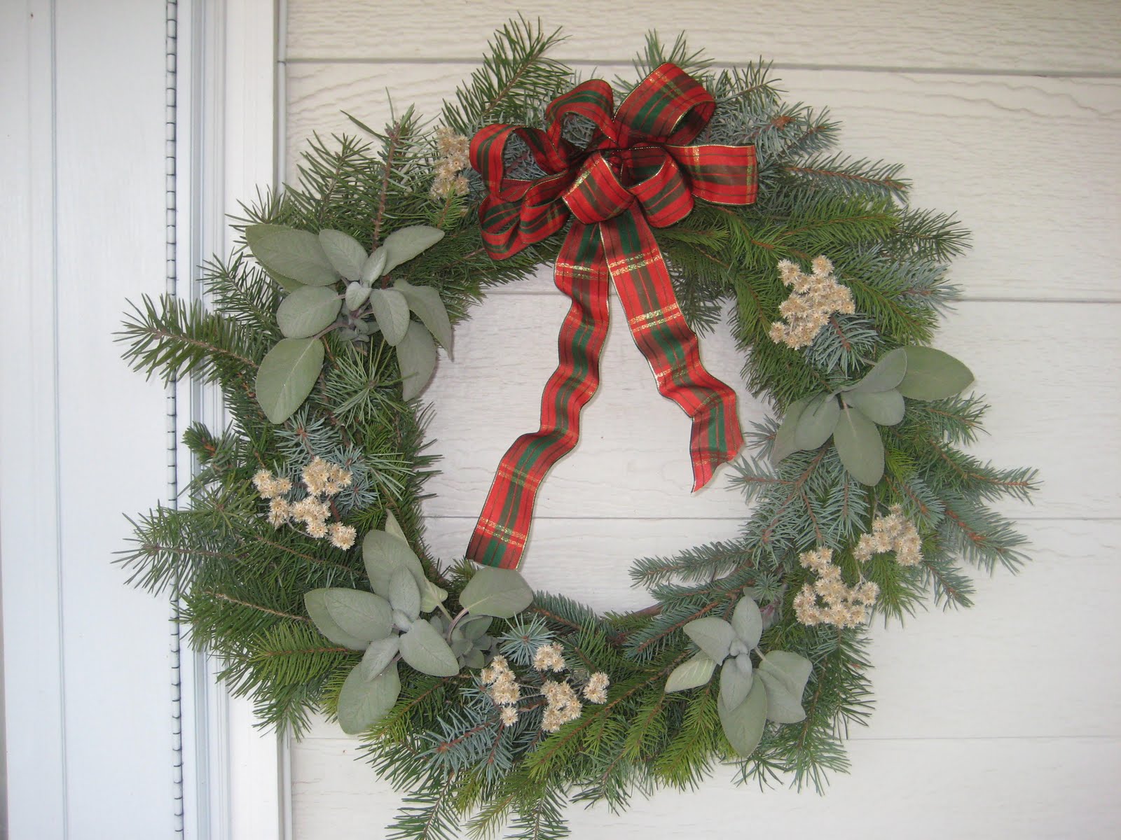 Susan's In the Garden Projects Make your own Christmas wreath