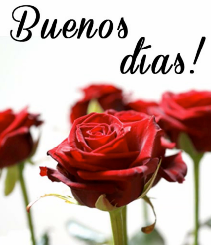 Resultado de imagen para buenos días