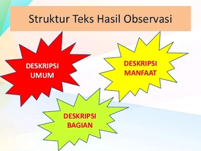 Struktur Teks Laporan Hasil Observasi - berbagaireviews.com