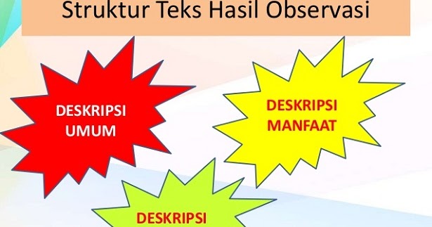 Contoh Teks Laporan Hasil Observasi Tentang Buah Semangka - Kumpulan