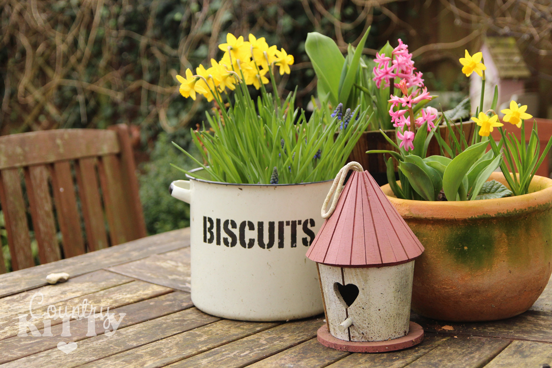 Between Winter and Spring part 2 The awakening