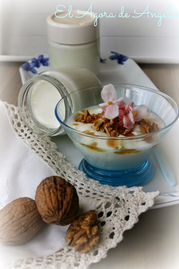 yogur griego casero yogures postres