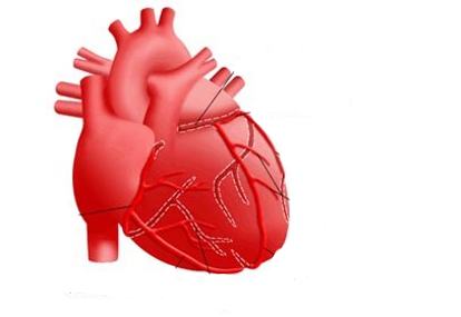 5 Buah Kaya Vitamin B: Jantung Lebih Sehat Seiring Perjalanan Waktu