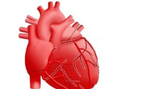 5 Buah Kaya Vitamin B: Jantung Lebih Sehat Seiring Perjalanan Waktu