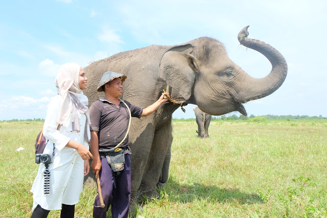 Pusat Konservasi Gajah Way Kambas Lampung Timur