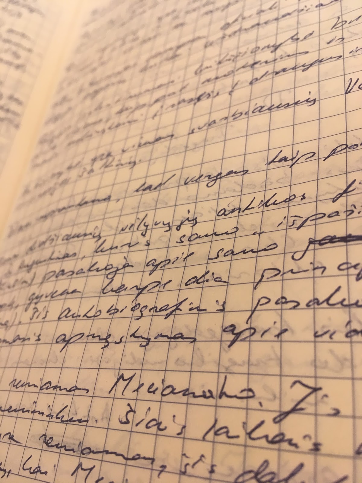 Dienoraščio rašymo ypatumai - Ir princesės būna protingos