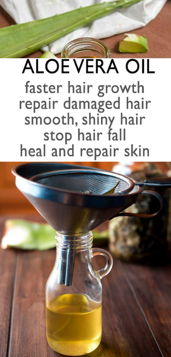 How to make Aloe Vera Oil with benefits and uses healhty and tips