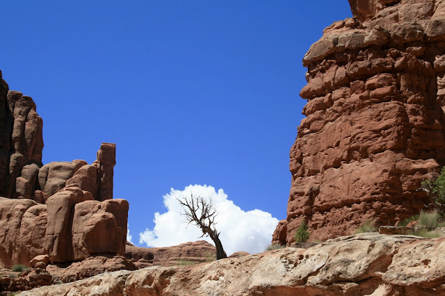 Amy S Creative Pursuits Arches National Park Park