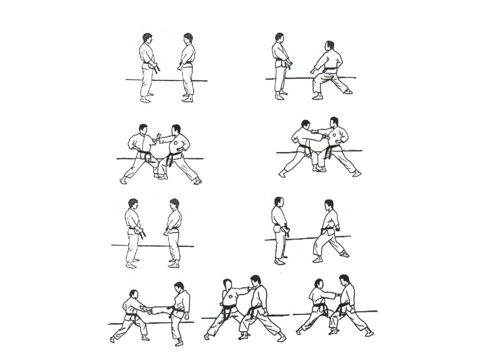 Shito Ryu Karate Do Kumite