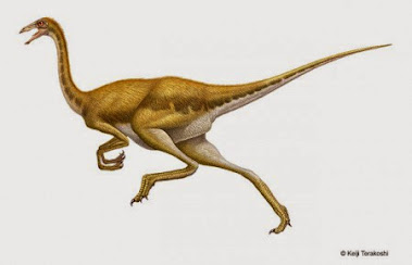 Gallimimus bullatus