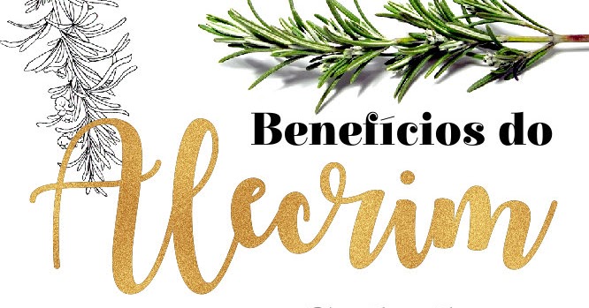 Cha de alecrim para o cabelo
