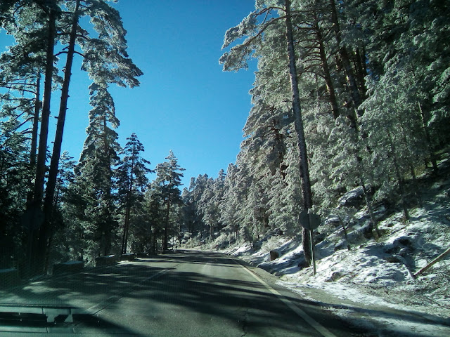 Parque Nacional de la Sierra de Guadarrama.