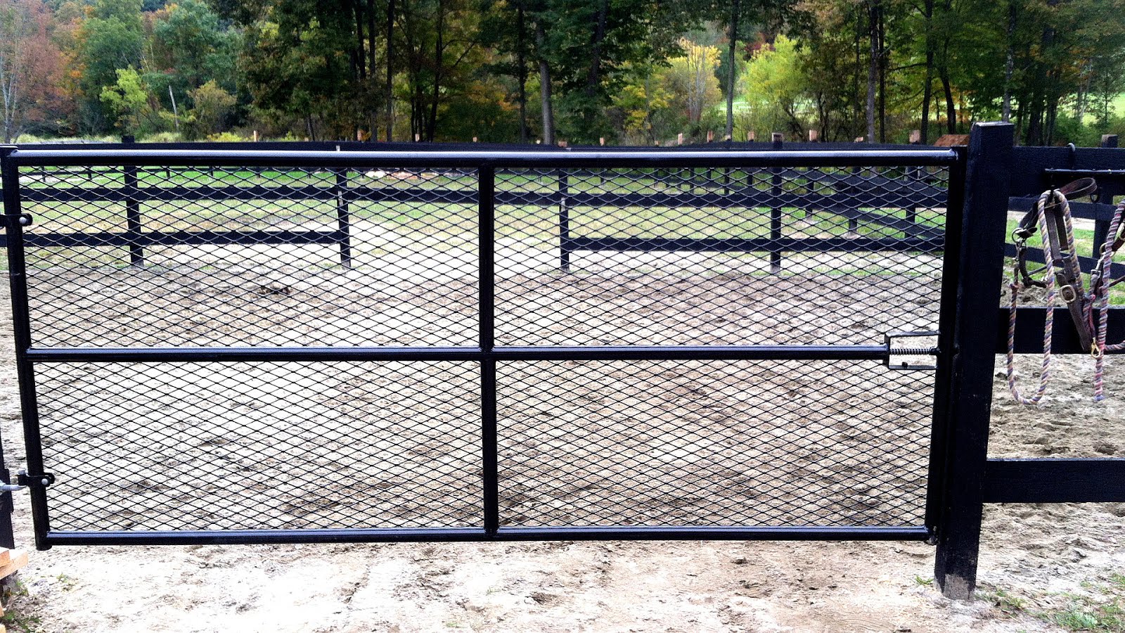 Horse Paddock Footing Horse Choices