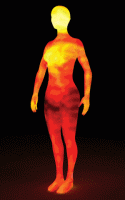 Hızlı bir şekilde renk değiştiren insan vücudu termal görüntüsü ile insan metabolizmasının anlatılması