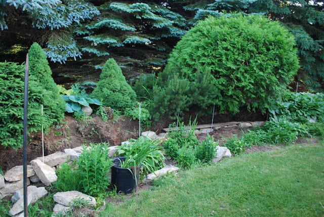 Quarry Garden Stained Glass: Slowly but Surely