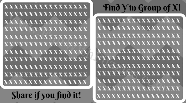Finding Y in Group of X, Picture Puzzle Finding Y in Group of X, Picture Puzzle