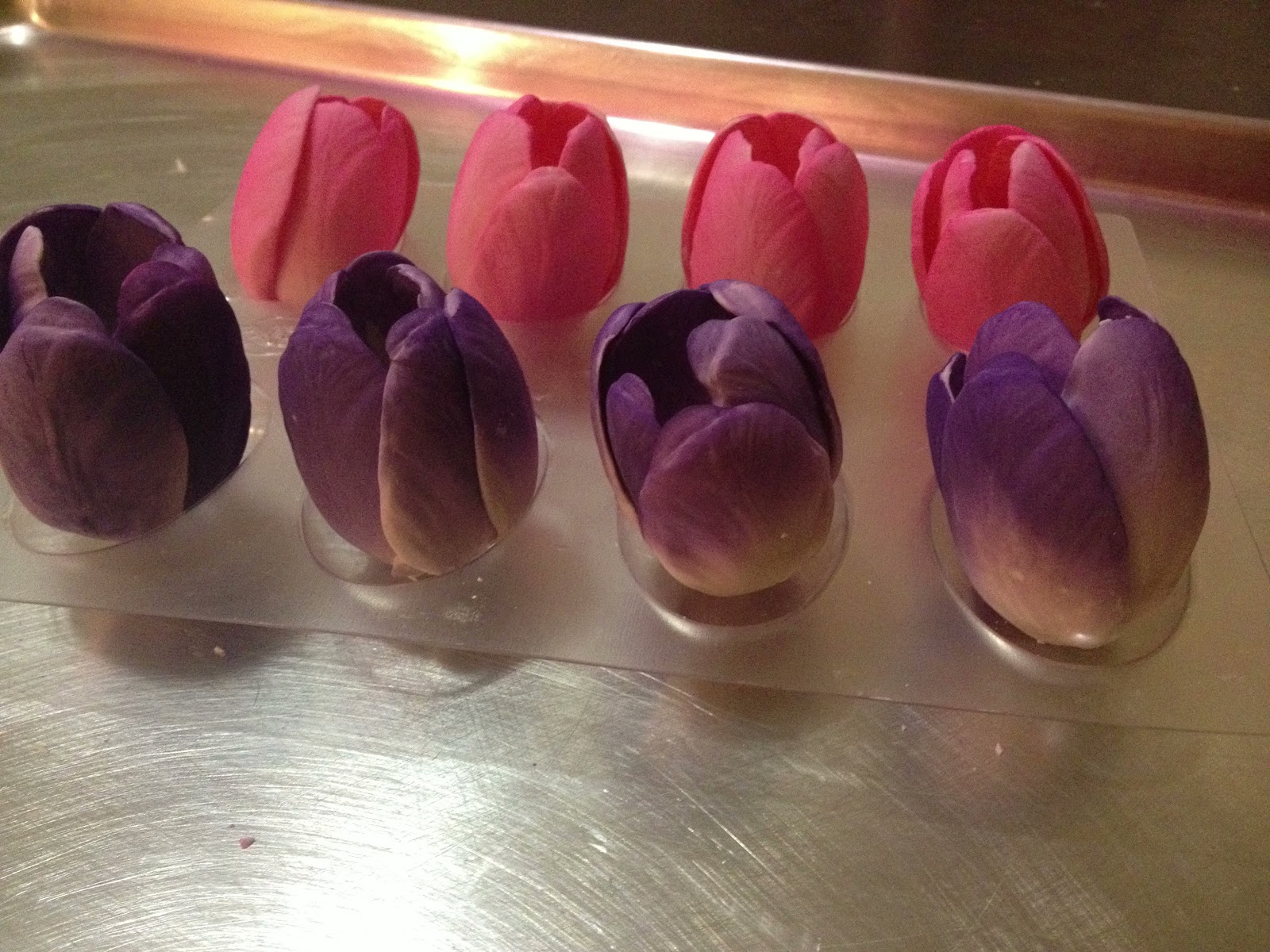 Pink and Purple Tulips