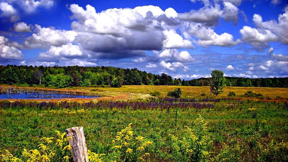Erie National Wildlife Refuge