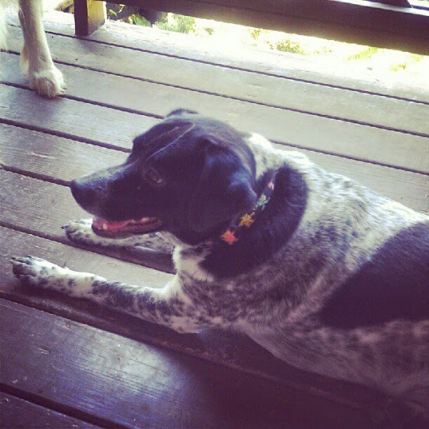 Buddy Bingo is Spending the Week With Us