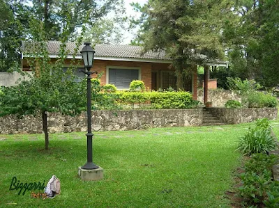 Muro de pedra rústica com o gramado com grama São Carlos com a casa de tijolo a vista.