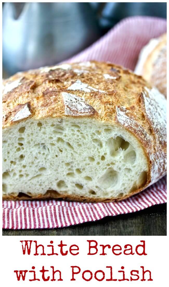 Crumb shot of White bread with poolish