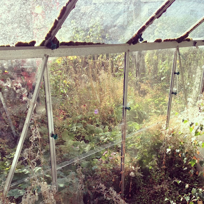 thistledown spirits: A LOVELY REST IN THE COUNTRY