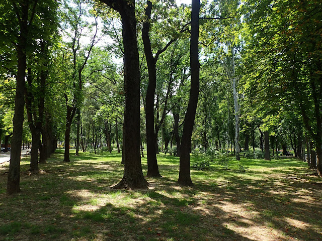 Park w stolicy Mołdawii