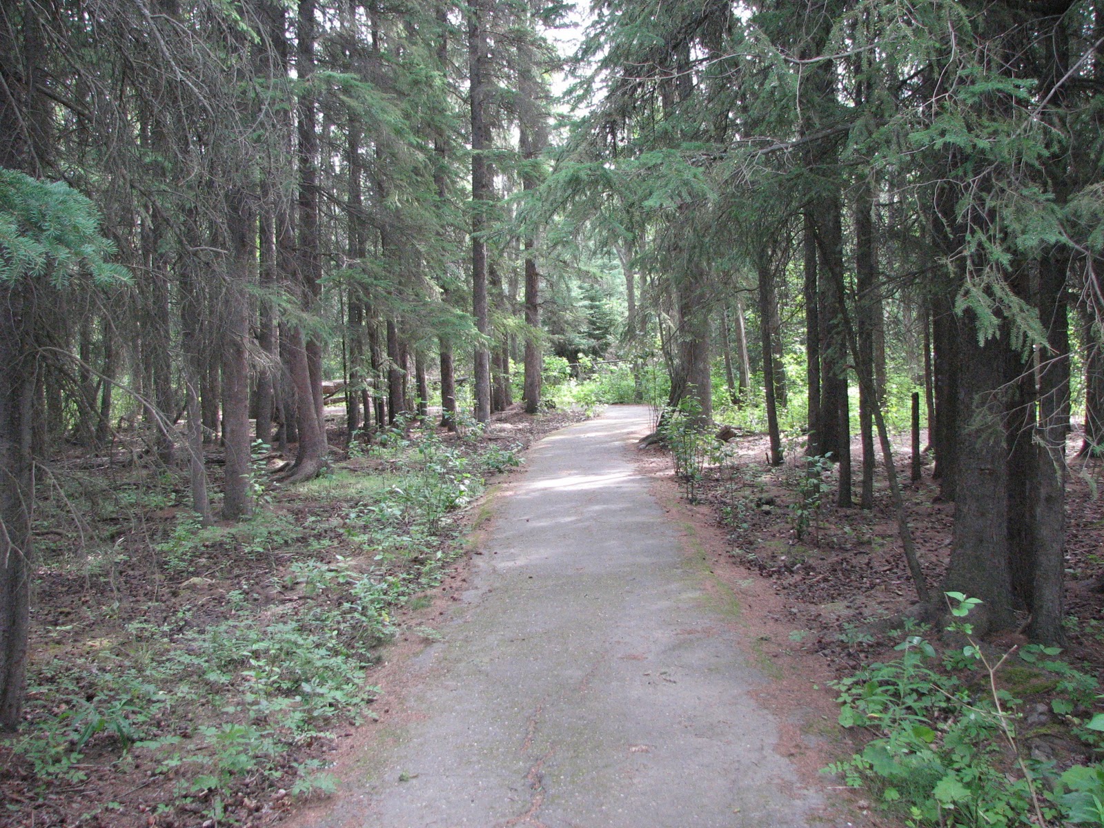 Tehachapi Pete Dunvegan West Wildland Park...
