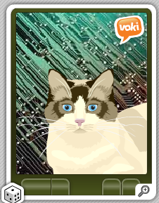 Create your own Voki