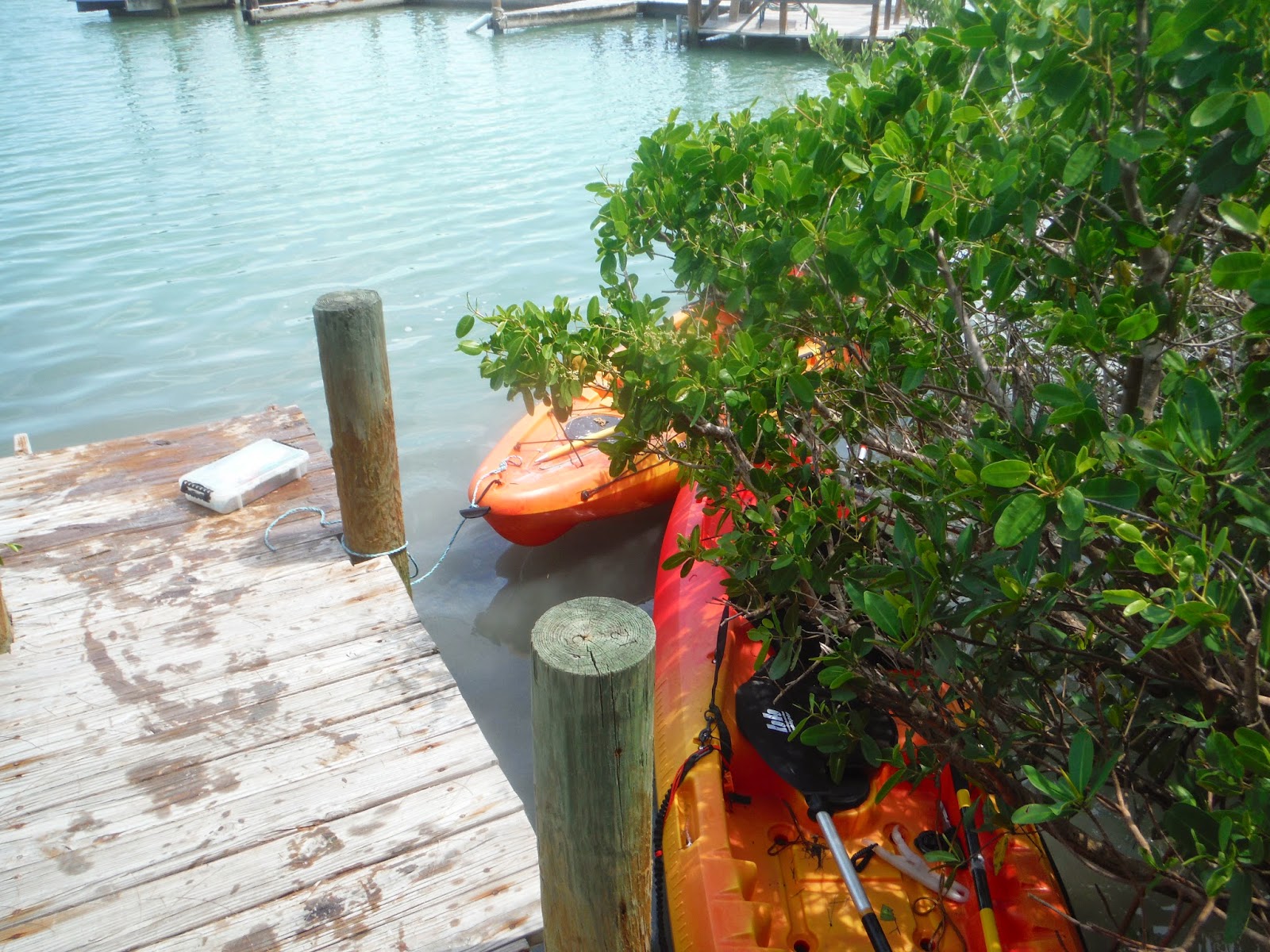 Long Island Kayak Angler Kayak Fishing Sanibel Island and Captiva