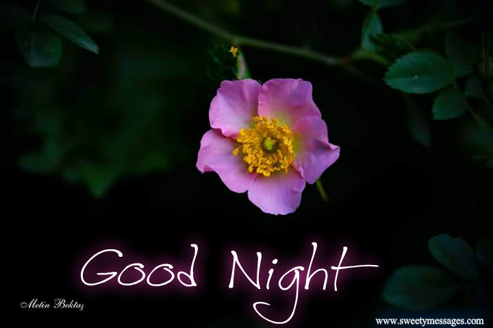 GOOD NIGHT SWEET DREAMS SMS MESSAGES - Beautiful Messages