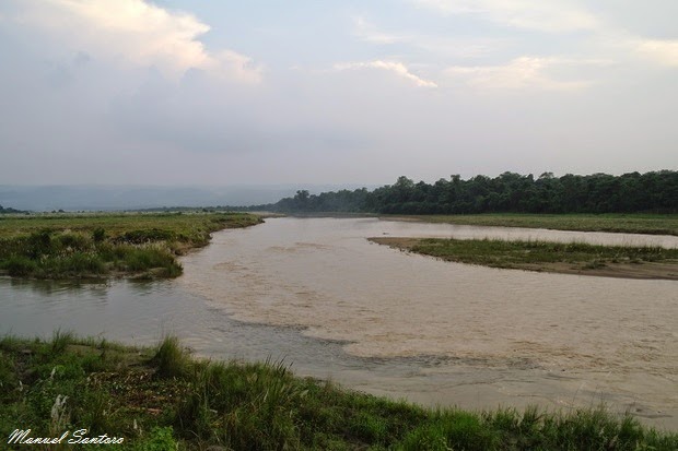 Sauraha, fiume Rapti Sauraha, fiume Rapti