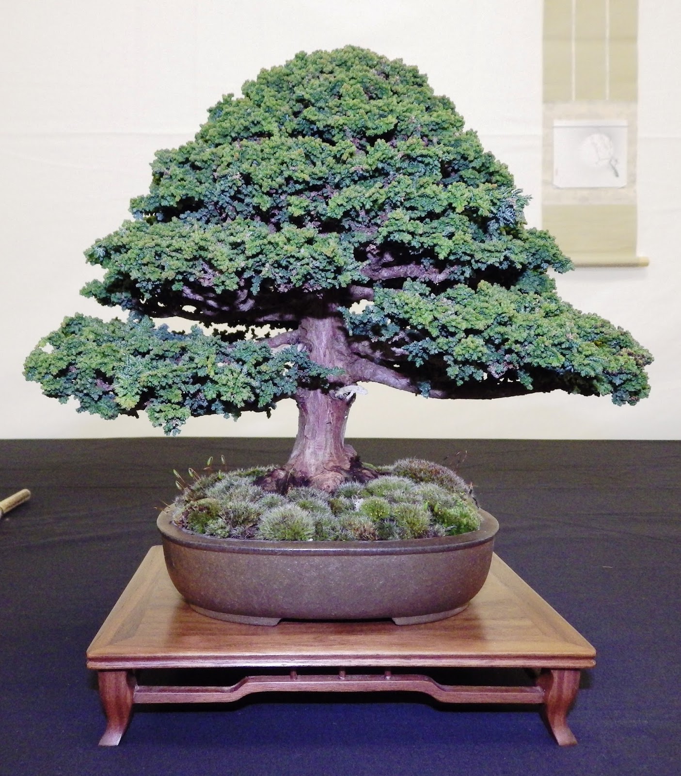 Bespoke Bonsai Stands