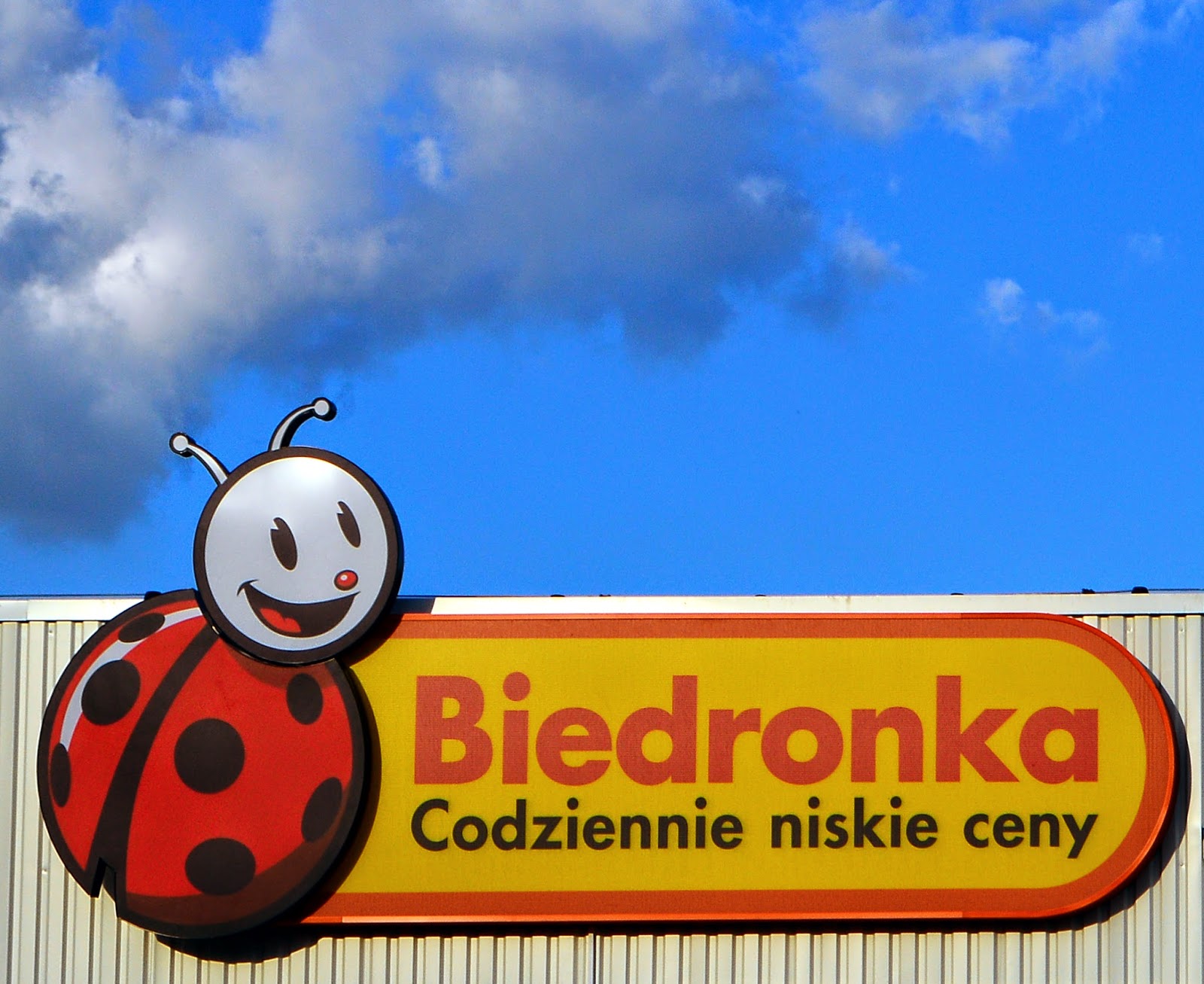 Бедронка польша Бедронка польша