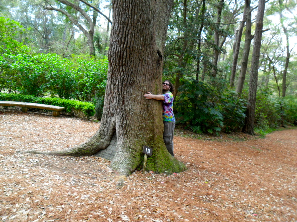 Casey's Southern Tour: Elizabethan Gardens