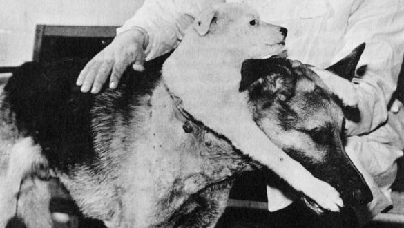 yalan yazan tarih utansin