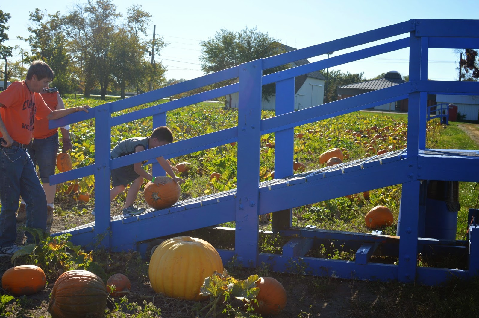 Huang Family Waterman's Pumpkin Patch 2014